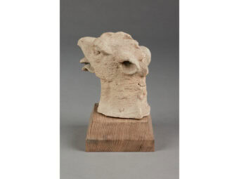 Rare Medieval 15th Century Oolitic Limestone Griffin Head, English, circa 1400-1450 - Image 4