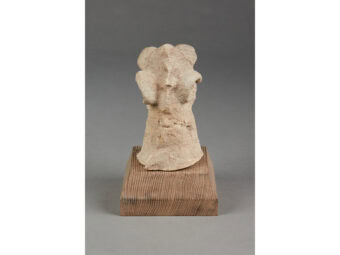 Rare Medieval 15th Century Oolitic Limestone Griffin Head, English, circa 1400-1450 - Image 5
