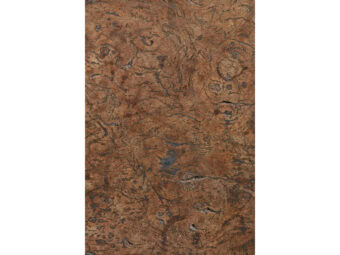 Superb George III Burr Oak Circular Top, circa 1730-1740 - Image 2